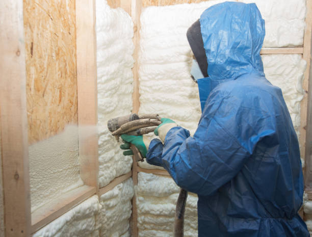 Best Insulation for Metal Buildings  in Buhl, ID